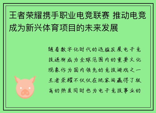 王者荣耀携手职业电竞联赛 推动电竞成为新兴体育项目的未来发展